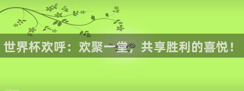 2026年世界杯：世界杯欢呼：欢聚一堂，共享胜利的喜悦！