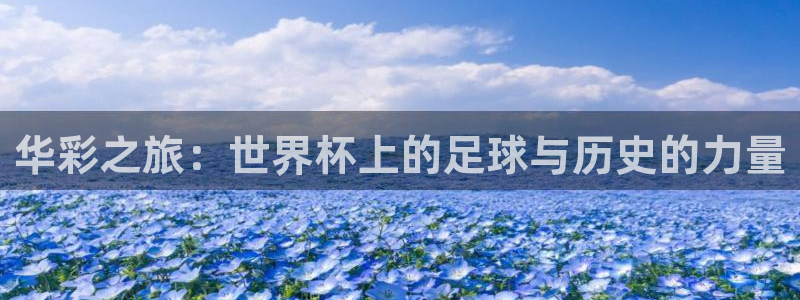 世界杯直播观看：华彩之旅：世界杯上的足球与历史的力量