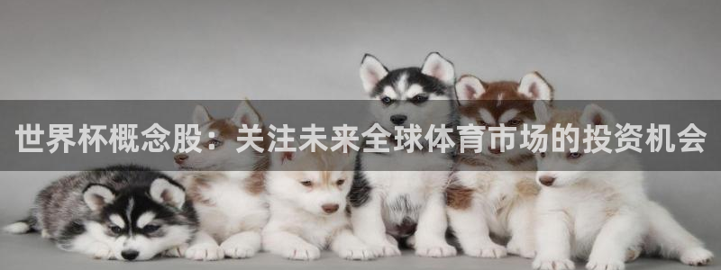 2026世界杯赛程表完整版：世界杯概念股：关注未来全球体育市场的投资机会