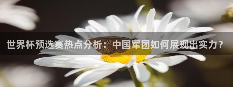 亚洲区世界杯预选赛：世界杯预选赛热点分析：中国军团如何展现出实力？