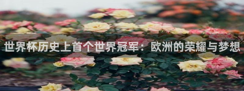世俱杯直播：世界杯历史上首个世界冠军：欧洲的荣耀与梦想