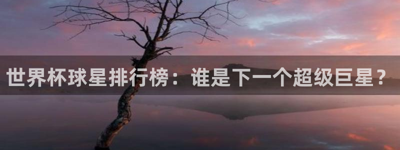 2026年世界杯：世界杯球星排行榜：谁是下一个超级巨星？