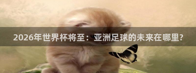 世界杯时间：2026年世界杯将至：亚洲足球的未来在哪里?
