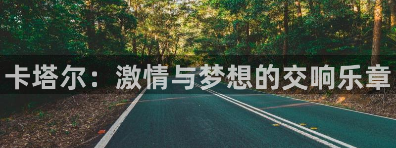 世界杯亚洲区预选赛赛程：卡塔尔：激情与梦想的交响乐章