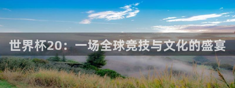 世界杯足球2026：世界杯20：一场全球竞技与文化的盛宴