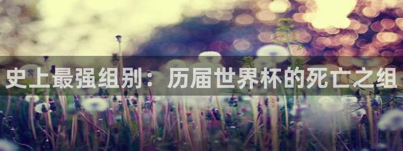 欧洲世界杯预选赛：史上最强组别：历届世界杯的死亡之组
