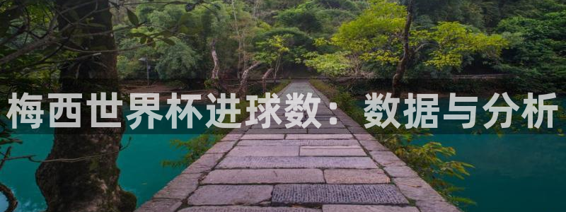 世界杯球赛：梅西世界杯进球数：数据与分析