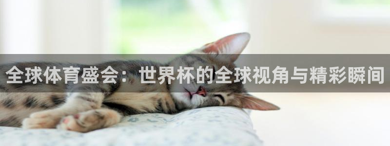 世界杯预选赛直播：全球体育盛会：世界杯的全球视角与精彩瞬间