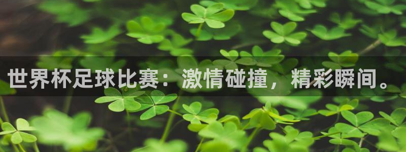 2026年世界杯赛程：世界杯足球比赛：激情碰撞，精彩瞬间。